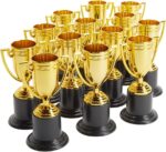 Trophy Cups for Sports Tournaments and Competitions